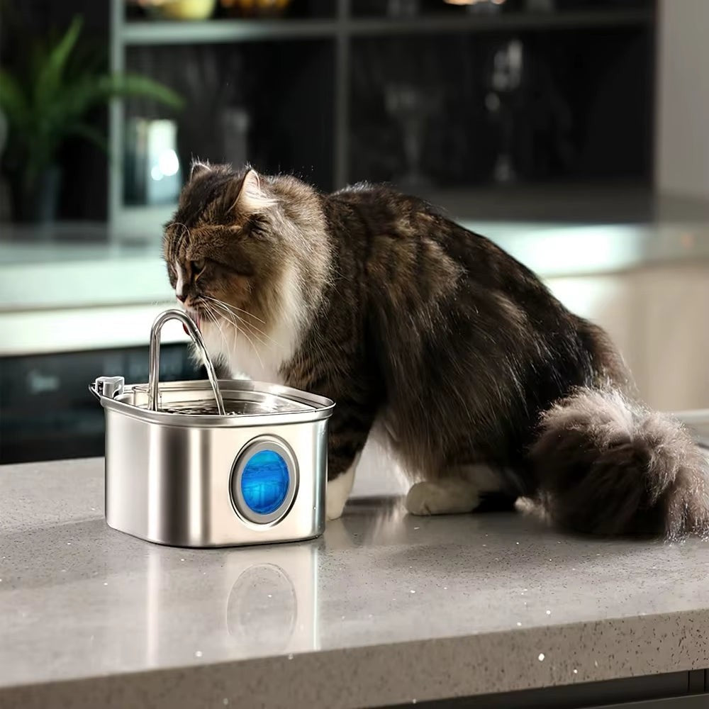 Soralab Flow Fresh stainless steel pet water fountain with blue light, a cat drinking from it.